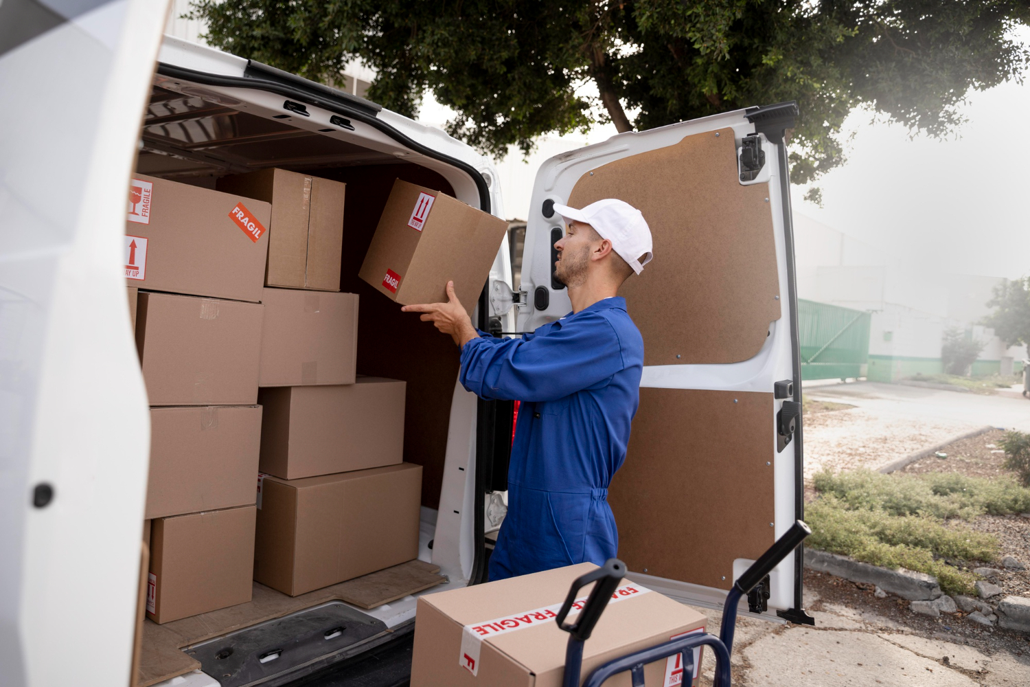 Professional Movers Wellington