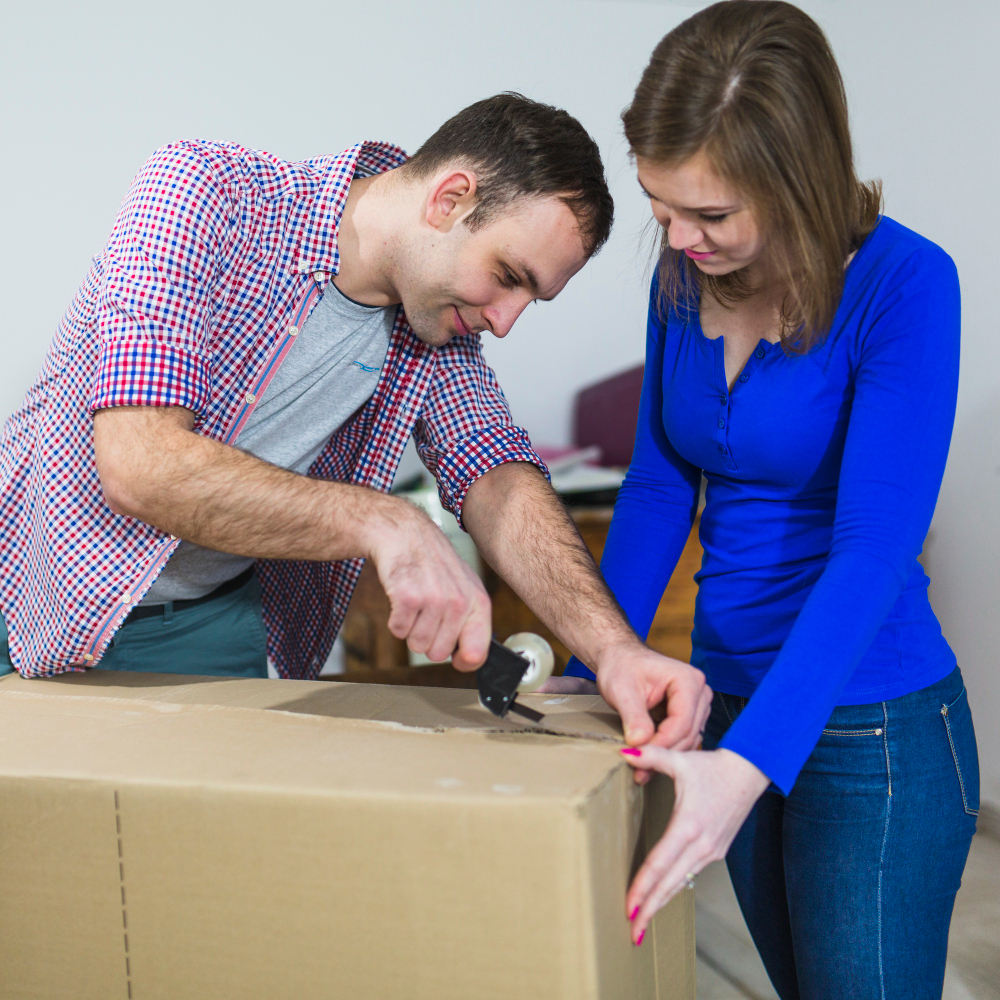 Removalists wellington